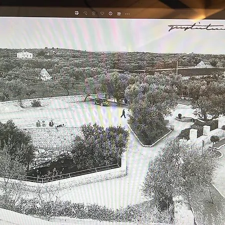 Bed & Breakfast Matarrese 1950
