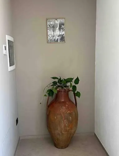 Bed & Breakfast Matarrese 1950 Castellana Grotte
